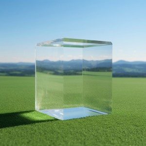 Vitrine Plexiglass Transparent (PMMA) - Dim. 400x400 mm - Hauteur 400 mm